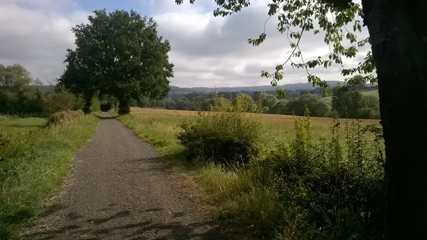 De met sintel verhardde RAVeL 38 tussen Homburg en Blieberg. Op de achtergrond is het bos van de Vaalserberg te zien.