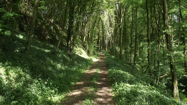 ex-Vicinal railway route from Andenne to Ohey.