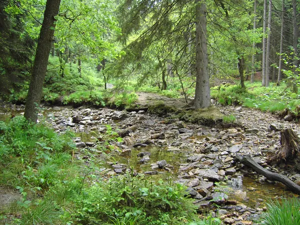 Kreuzung zwischen Eschbach und Steinbach