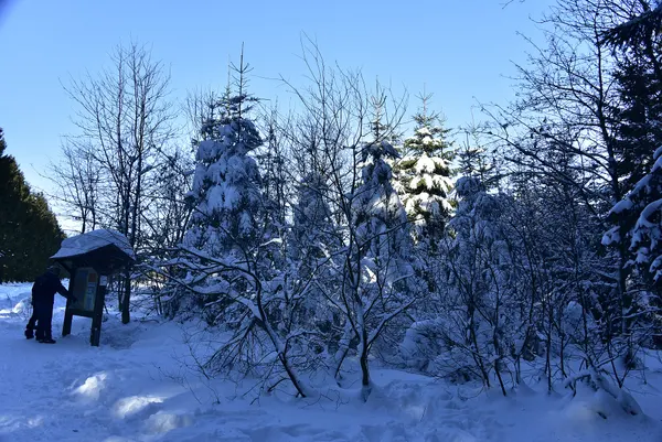 Vue des Hautes Fagnes sous la neige.