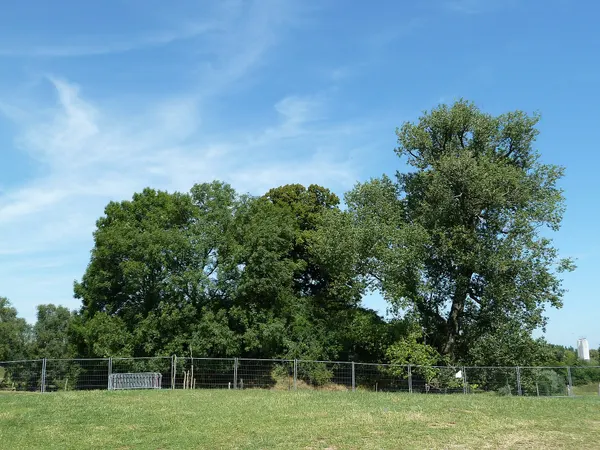 Motte te Sinte-Gitter, Landen, België