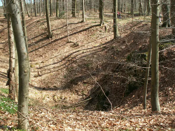 Staatswald Hohnbachtal, Doline