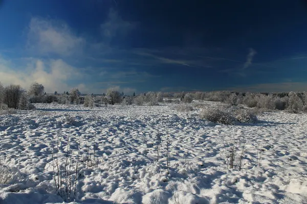 Schneelandschaft Hohes Venn