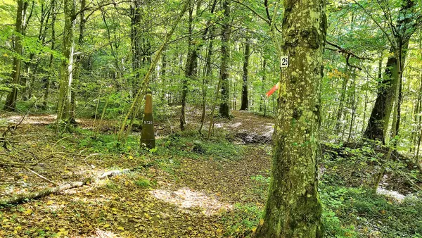 Borne frontière (Belgique-Luxembourg) n° LB026
