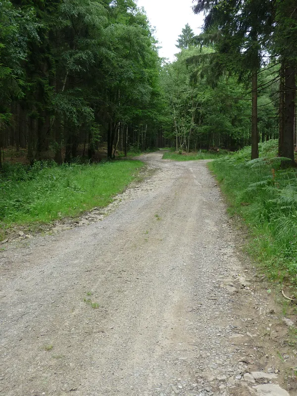 «Chaussée Marie-Thérèse» au nord du village de Bande (commune de Nassogne, Belgique).