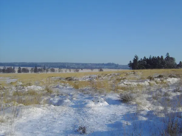 Hohes Venn im Winter (Dezember 2009)