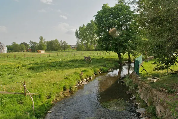 Neufchâteau (Grandvoir), Belgium: The river Rau de Grandvoir
