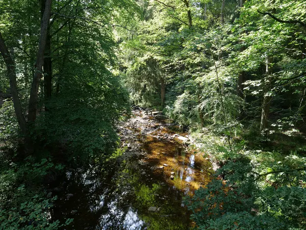 Weser oberhalb der Wesertalsperre im Hohen Venn.