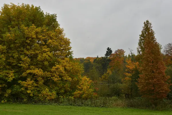 Vue du château de la Hulpe et de son parc.
