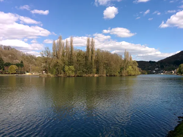 Grande Île des Îles de Godinne, en amont. Photo prise à partir de la rive droite de la Meuse.