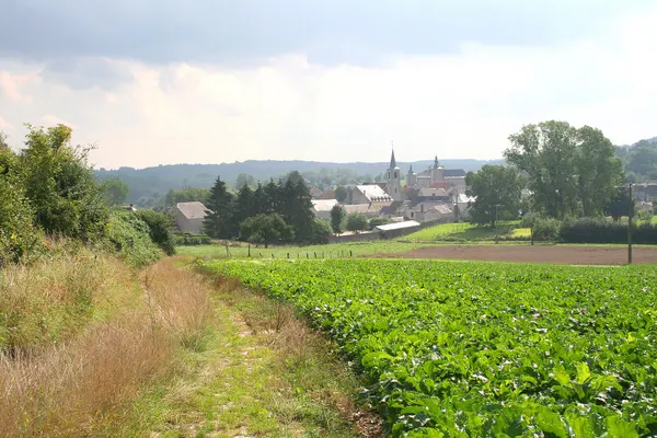 Falaën (Belgium), the village