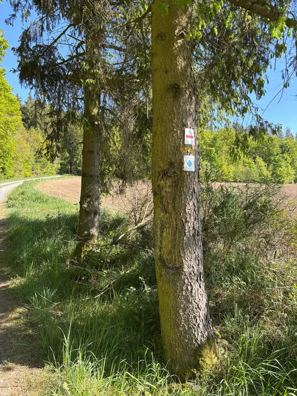 Renewed GR5 &amp; Autopedestre signs near Kimm.