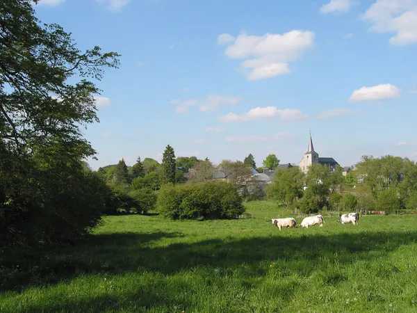 Ortho (Belgium), the village in the spring.