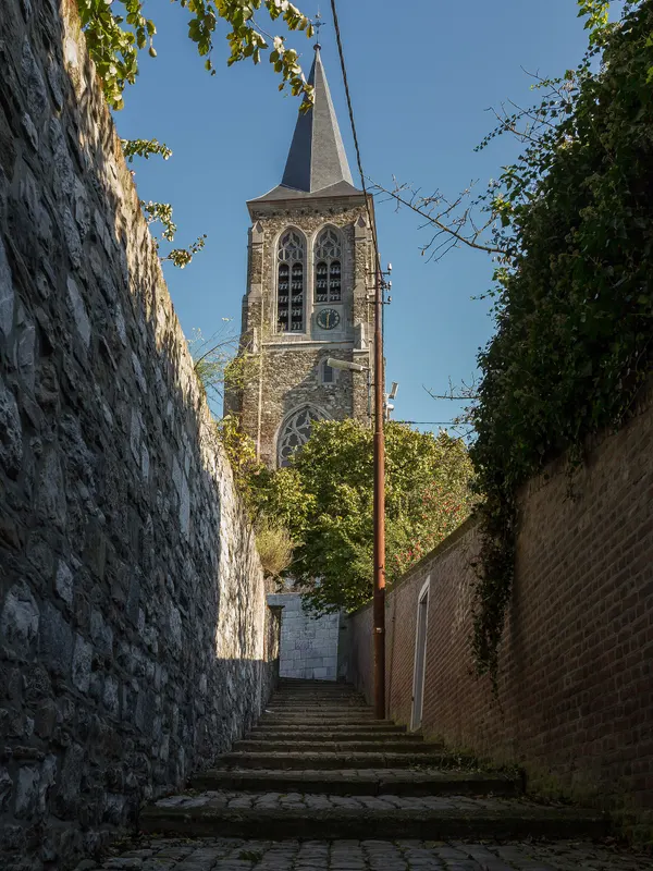 Visé, église Saint Martin 62108-CLT-0002-01 foto8 2014-10-19 12.