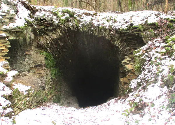 Mijngang van de vroegere Ardoisière de l'Hamériaine in de bossen bij Oignies-en-Thiérache (Viroinval België)