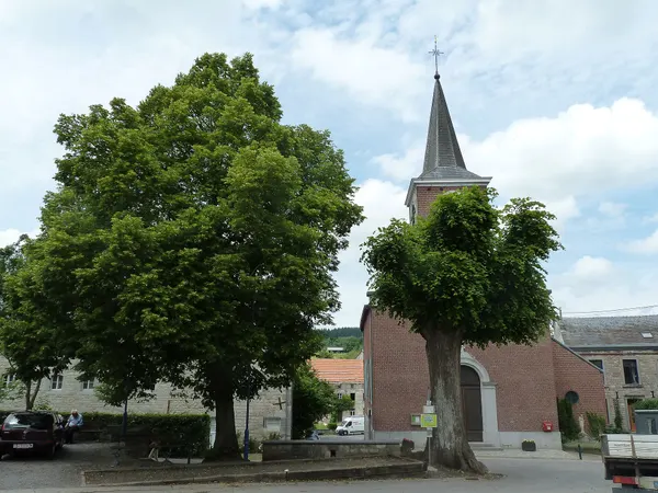 Deigné-tilleul devant l'église