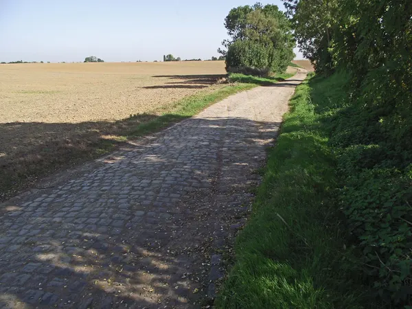Vicinal railway trace visible in the pavement in the direction of the village of Thisnes.