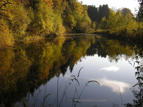 Im Poncetal, East Belgium