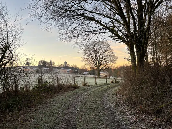 Buret at dawn.