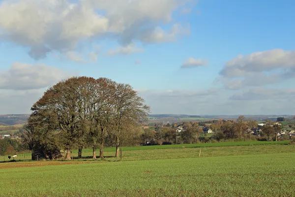 Falmignoul (Dinant, province of Namur, Belgium): countryside
