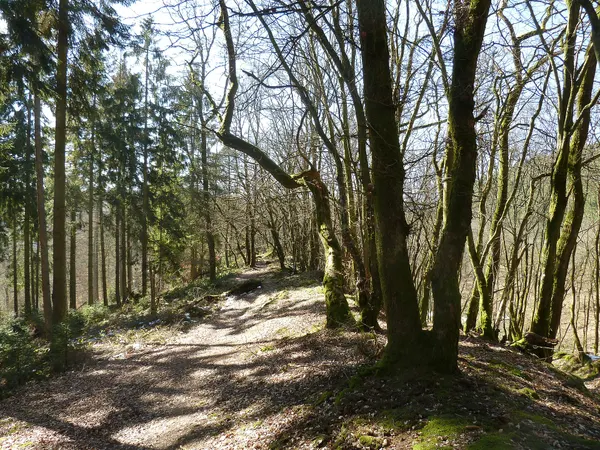 Le Cheslé, Bérismenil, Belgium