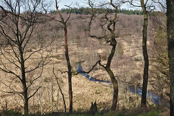 Protected area of Fagne Tîrifaye with the Hill river viewed from a bicycle path in Waimes, Belgium (VeloTour 83-to-84, DSCF3670)
