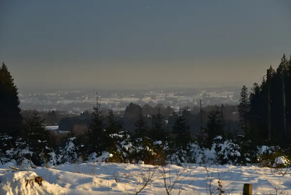 Vue des Hautes Fagnes sous la neige.