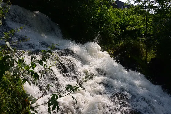 Vue de la cascade de Coo et des alentours.