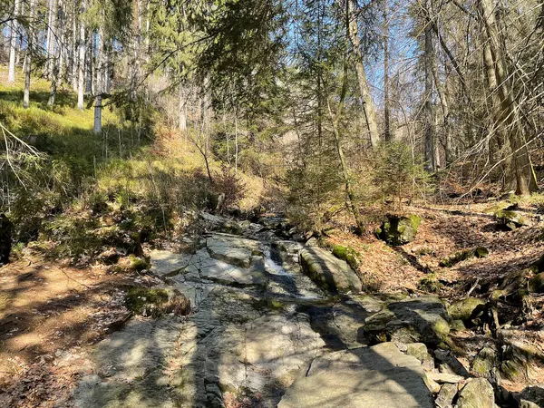 Schlüsselbach, Zufluss der Rur in der Städteregion Aachen in Nordrhein-Westfalen