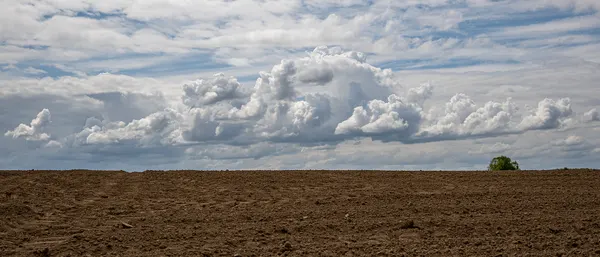 A cloudy sky above a freshly harrowed field in the Belgian fruit region Haspengouw.