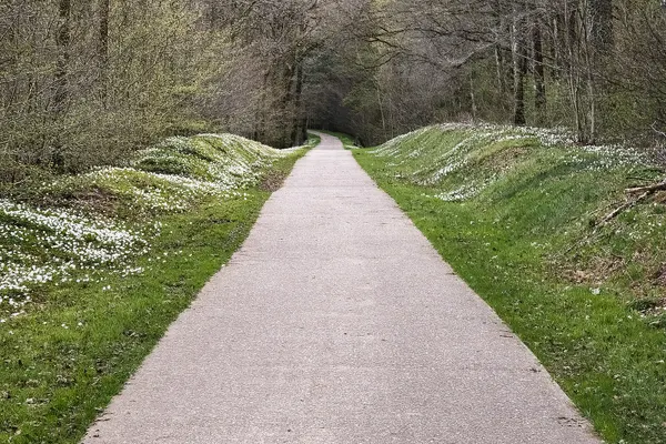 Straight path, in the middle of RAVeL 615.