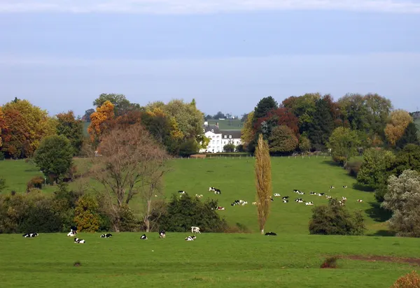 Château de Gorhez across the fields, Aubel, 2005