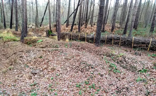 Loopgraven uit Wereldoorlog II in de Sluisstraat in Zutendaal (België)