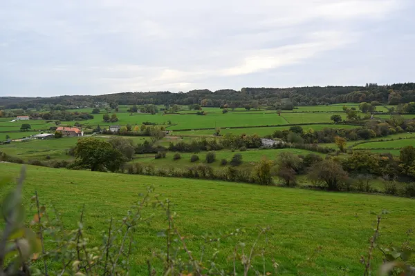 View south from Rue Trixhes aux Rames, Limbourg, 2025