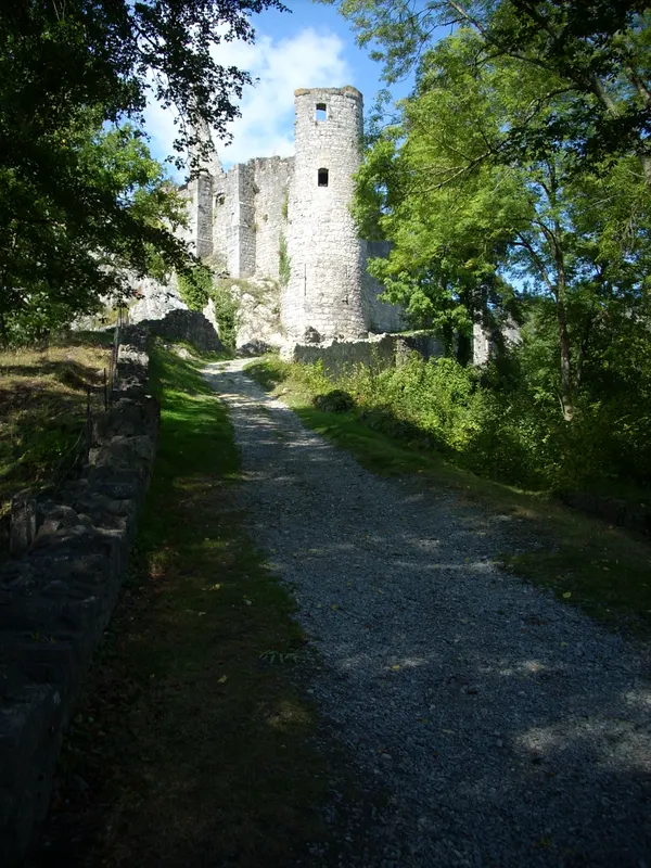 Ruines du château de Montaigle (XIVe siècle).