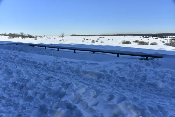 Vue des Hautes Fagnes sous la neige.