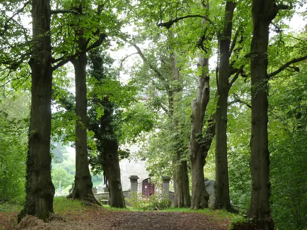 tour de l'ancienne église Saint-Martin, Comblain-au-Pont, Belgique