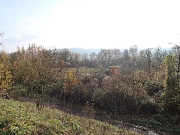 Réserve Naturelle de Sclaigneaux (Andenne), site classé