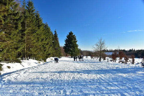 Vue des Hautes Fagnes sous la neige.
