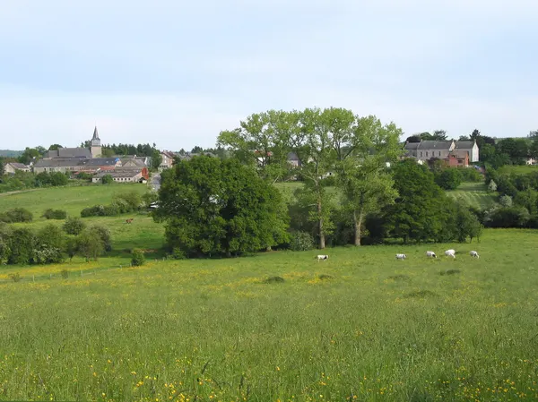 Wellin (Belgium), the village seen from the Lavaux Sainte-Anne road.