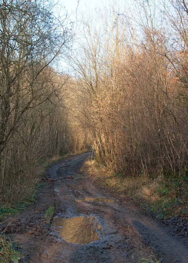 Path GR 57 between Durbuy and Barvaux. Follow this way, you'll be closer to Tohogne. A photo taken during winter.