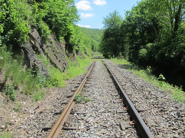 Section of 126 Statte – Ciney railway line in Belgium, near Marchin.