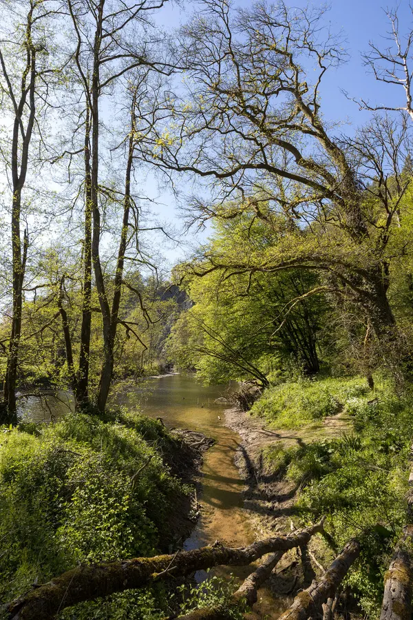 L'Ourthe après le Château de Logne