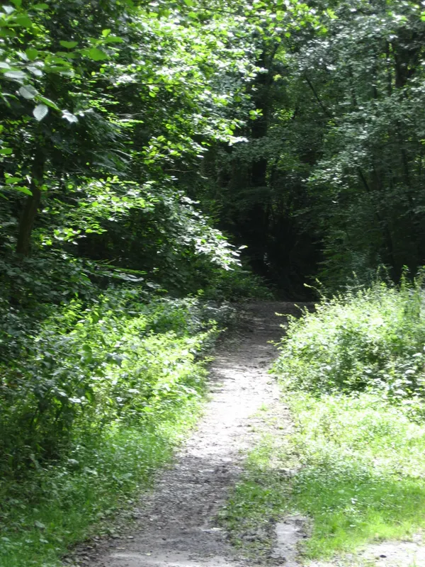 Formal vicinal railway converted into a footpath.