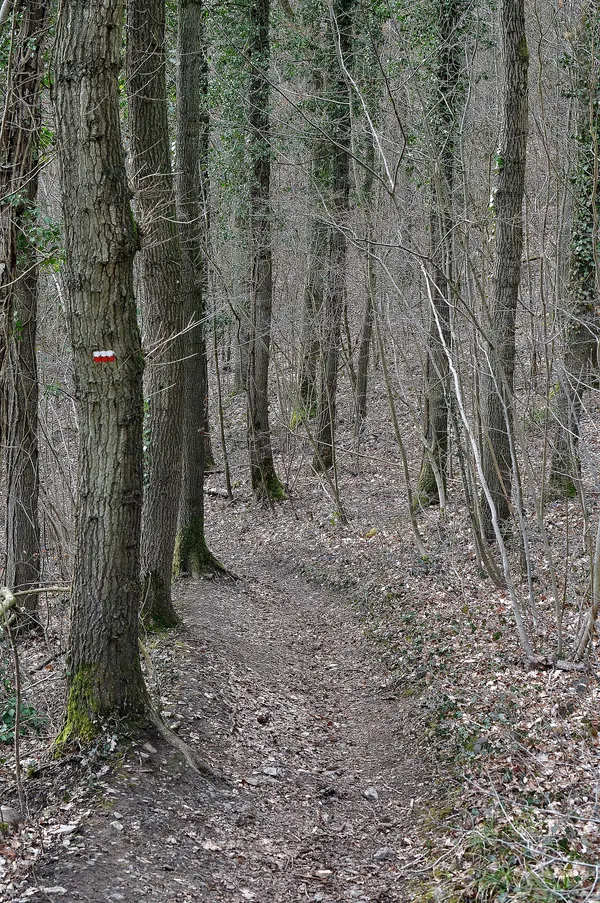 Footpath GR 57 in Comblain-au-Pont near 'Les Roches Noires'