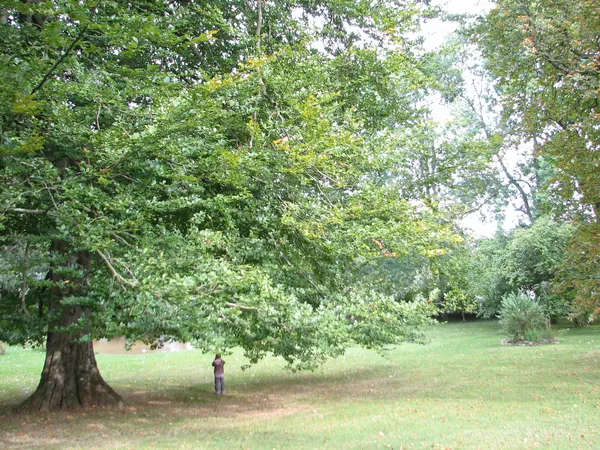 Aubange - Domaine du Clémarais