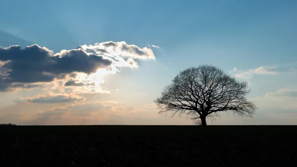Coucher de soleil sur Hamois