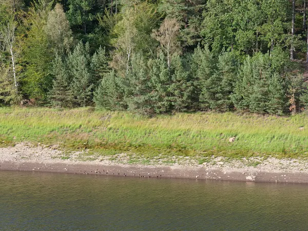 Wesertalsperre im September 2019.