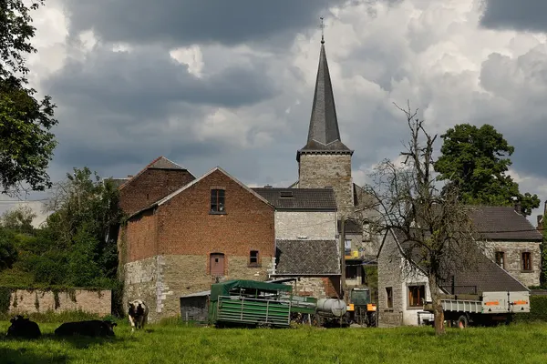 Fairon village with cows