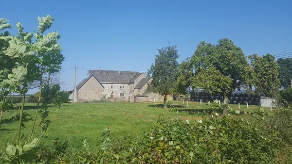 Lontzen-Busch-Waldstrasse